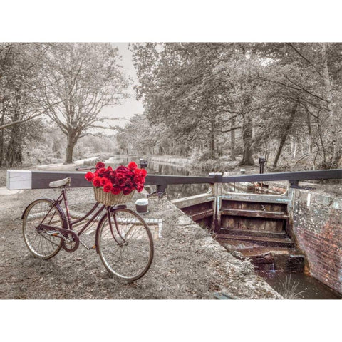 Bicycle with bunch of white roses by the canal White Modern Wood Framed Art Print by Frank, Assaf