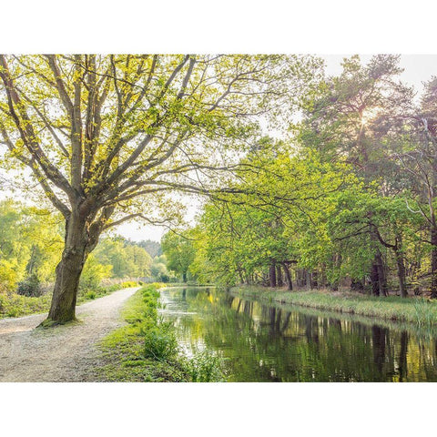 Canal on a spring day Gold Ornate Wood Framed Art Print with Double Matting by Frank, Assaf