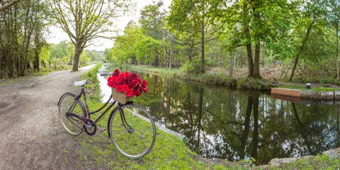 Bicycle with bunch of red roses by the canal White Modern Wood Framed Art Print with Double Matting by Frank, Assaf