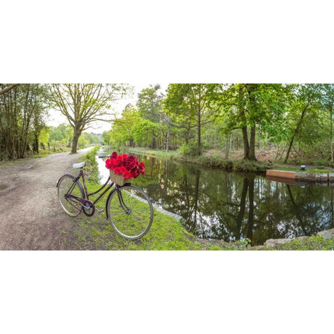 Bicycle with bunch of red roses by the canal Black Modern Wood Framed Art Print by Frank, Assaf
