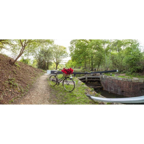 Bicycle with bunch of red roses by the canal Black Modern Wood Framed Art Print with Double Matting by Frank, Assaf