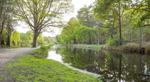 Bicycle with bunch of red roses by the canal Black Ornate Wood Framed Art Print with Double Matting by Frank, Assaf