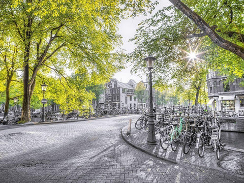Amsterdam city street White Modern Wood Framed Art Print with Double Matting by Frank, Assaf