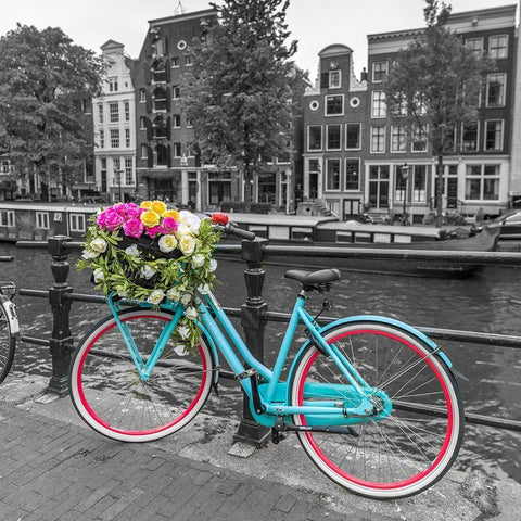 Bicycle with bunch of roses on bridge-Amsterdam White Modern Wood Framed Art Print with Double Matting by Frank, Assaf