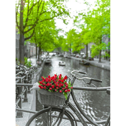 Bicycle with bunch of flowers by the canal-Amsterdam Black Modern Wood Framed Art Print with Double Matting by Frank, Assaf