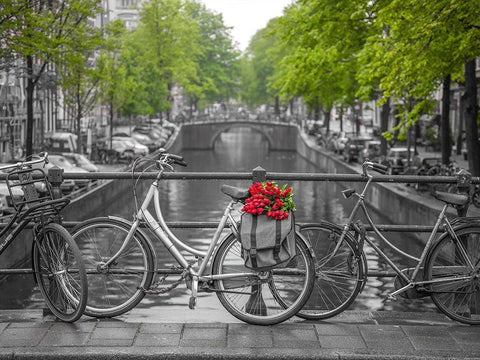 Bicycle with bunch of flowers by the canal, Amsterdam Black Ornate Wood Framed Art Print with Double Matting by Frank, Assaf