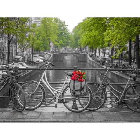 Bicycle with bunch of flowers by the canal, Amsterdam Black Modern Wood Framed Art Print with Double Matting by Frank, Assaf