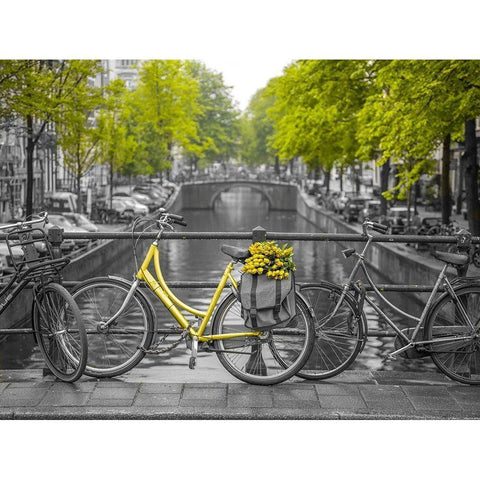 Bicycle with bunch of flowers by the canal, Amsterdam Black Modern Wood Framed Art Print with Double Matting by Frank, Assaf