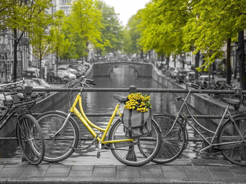 Bicycle with bunch of flowers by the canal, Amsterdam Black Ornate Wood Framed Art Print with Double Matting by Frank, Assaf