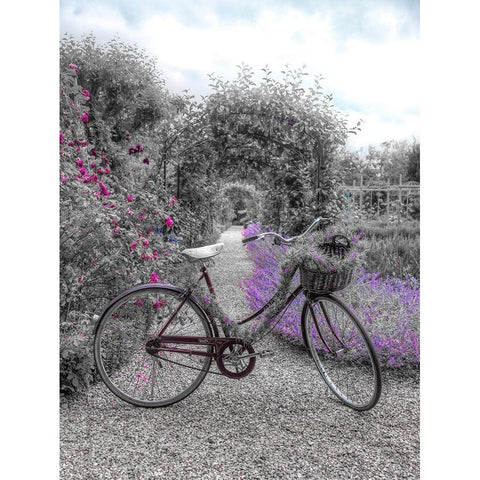 Bicycle on a garden path Black Modern Wood Framed Art Print with Double Matting by Frank, Assaf