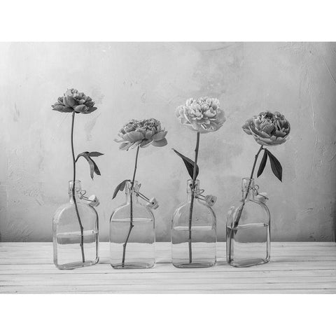 Peonies in glass bottles Black Modern Wood Framed Art Print with Double Matting by Frank, Assaf