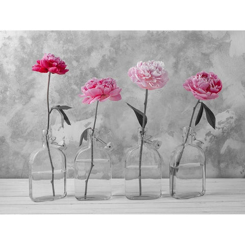 Peonies in glass bottles Black Modern Wood Framed Art Print by Frank, Assaf