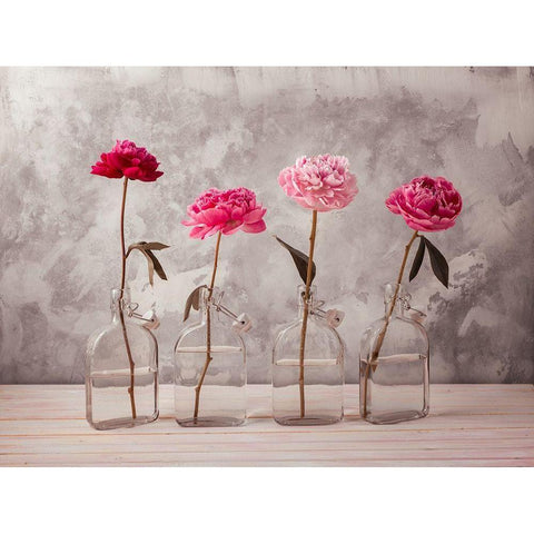 Peonies in glass bottles White Modern Wood Framed Art Print by Frank, Assaf