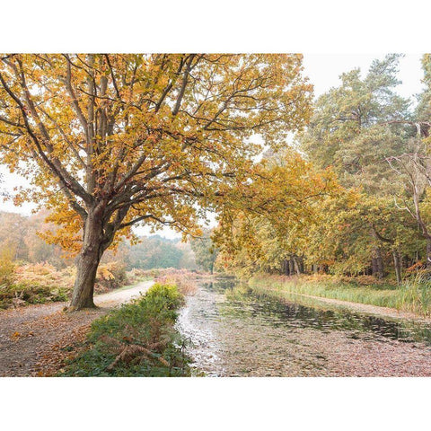 Basingstoke Canal Black Modern Wood Framed Art Print by Frank, Assaf