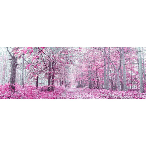 Pathway through Autumn forest Black Modern Wood Framed Art Print with Double Matting by Frank, Assaf