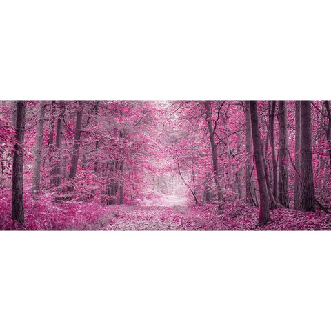 Pathway through Autumn forest Gold Ornate Wood Framed Art Print with Double Matting by Frank, Assaf