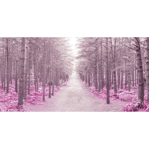 Pathway through Autumn forest, FTBR 1844 Gold Ornate Wood Framed Art Print with Double Matting by Frank, Assaf