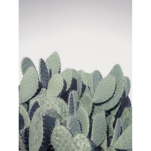 Cacti White Modern Wood Framed Art Print by Frank, Assaf
