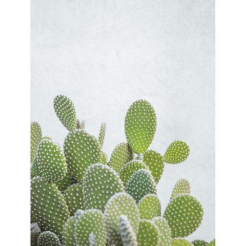 Cactus plant Black Modern Wood Framed Art Print by Frank, Assaf