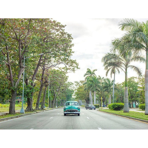 Vintage car on a road with palm trees, Cuba Black Modern Wood Framed Art Print with Double Matting by Frank, Assaf
