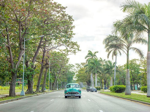 Vintage car on a road with palm trees, Cuba Black Ornate Wood Framed Art Print with Double Matting by Frank, Assaf