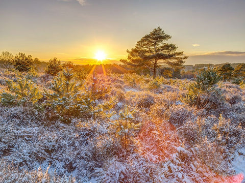 Winter sunset in countryside White Modern Wood Framed Art Print with Double Matting by Frank, Assaf