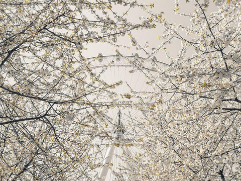 Millennium Wheel-London Black Ornate Wood Framed Art Print with Double Matting by Frank, Assaf