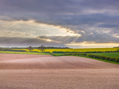 Farm fields in Hampshire during spring White Modern Wood Framed Art Print with Double Matting by Frank, Assaf