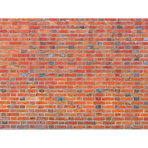 Brick wall Gold Ornate Wood Framed Art Print with Double Matting by Frank, Assaf