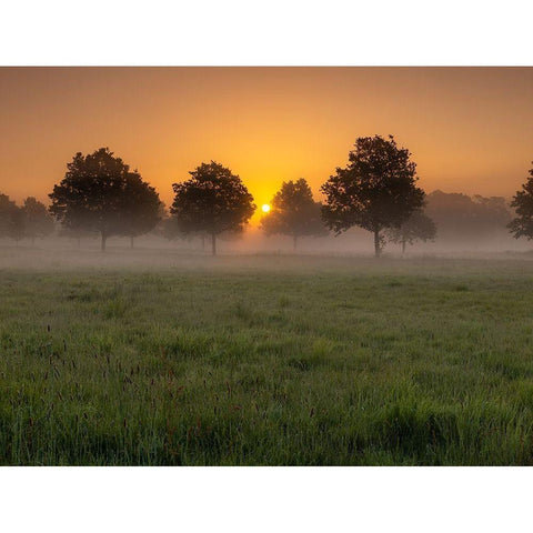 Misty sunrise in countryside-Berkshire-UK Black Modern Wood Framed Art Print with Double Matting by Frank, Assaf