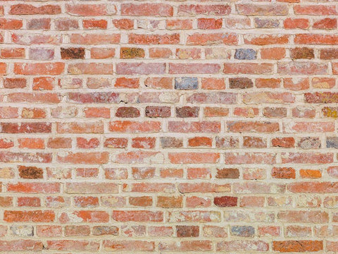 Brick Wall Black Ornate Wood Framed Art Print with Double Matting by Frank, Assaf