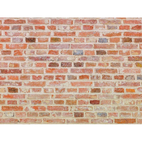 Brick Wall Black Modern Wood Framed Art Print by Frank, Assaf