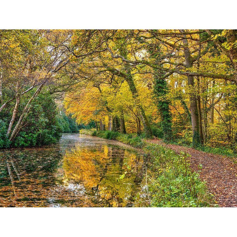 Canal through a forest Black Modern Wood Framed Art Print by Frank, Assaf