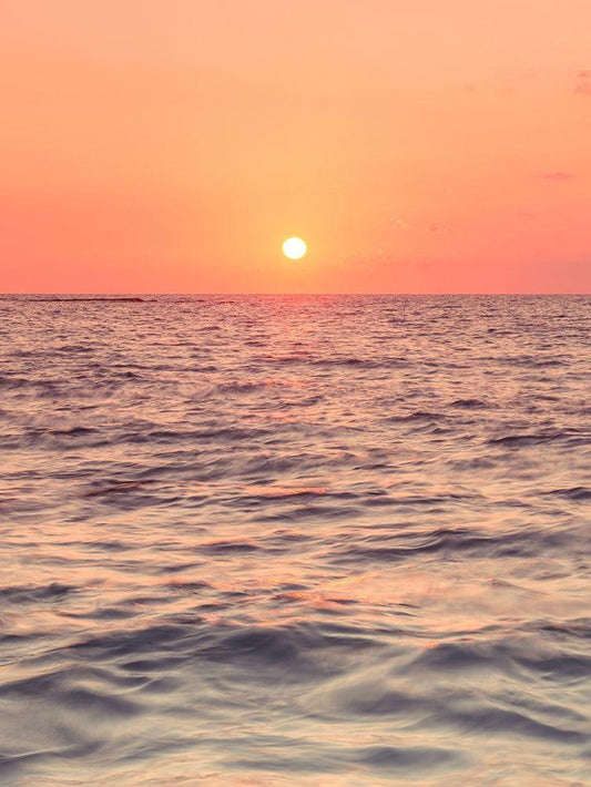 Image Only
