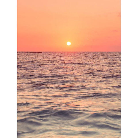 Sunset on the beach Black Modern Wood Framed Art Print with Double Matting by Frank, Assaf