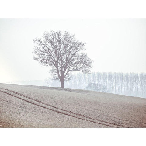 Trees on a hill Black Modern Wood Framed Art Print by Frank, Assaf