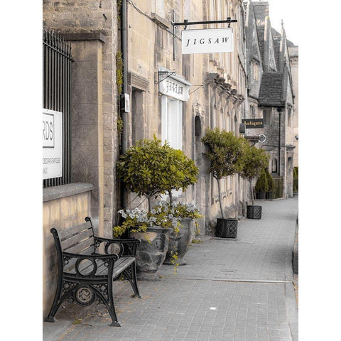 Old buildings in Tetbury town-Cotswolds Gold Ornate Wood Framed Art Print with Double Matting by Frank, Assaf