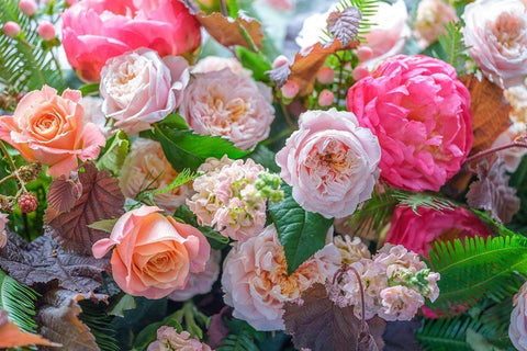 Mixed flowers White Modern Wood Framed Art Print with Double Matting by Frank, Assaf