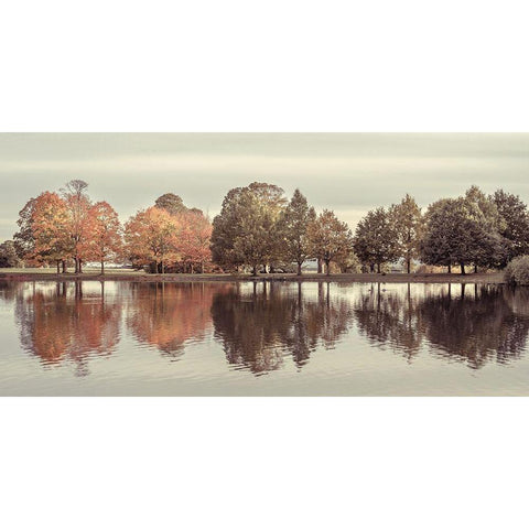 Reflection of autumn trees in a still lake. Black Modern Wood Framed Art Print with Double Matting by Frank, Assaf