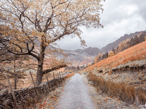 Countryside dirt road White Modern Wood Framed Art Print with Double Matting by Frank, Assaf