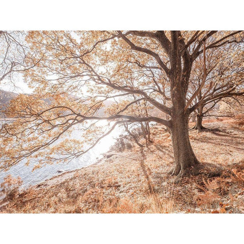 Derwentwater-Lake district Black Modern Wood Framed Art Print with Double Matting by Frank, Assaf