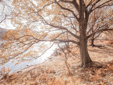 Derwentwater-Lake district Black Ornate Wood Framed Art Print with Double Matting by Frank, Assaf