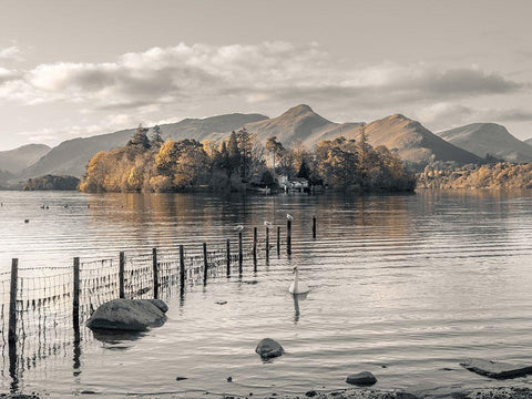 Morning at Derwent island-Derwentwater White Modern Wood Framed Art Print with Double Matting by Frank, Assaf