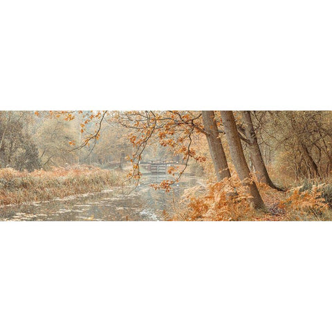 Canal through a forest Gold Ornate Wood Framed Art Print with Double Matting by Frank, Assaf