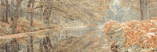 Image Only