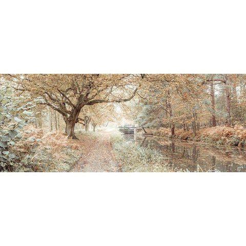 Canal through a forest White Modern Wood Framed Art Print by Frank, Assaf