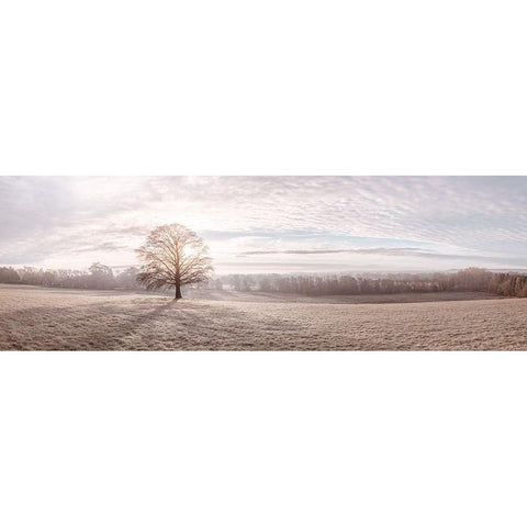 Trees in meadow Gold Ornate Wood Framed Art Print with Double Matting by Frank, Assaf