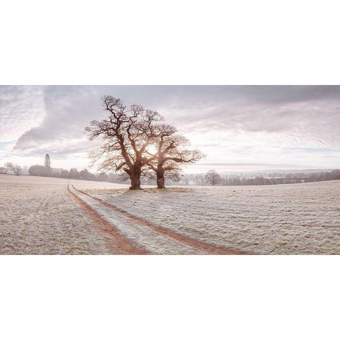 Dirt road through a meadow White Modern Wood Framed Art Print by Frank, Assaf