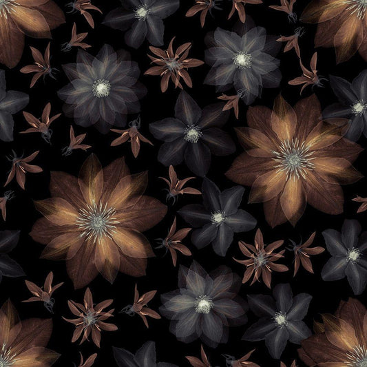 Image Only