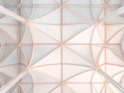 Architectural church ceiling Black Ornate Wood Framed Art Print with Double Matting by Frank, Assaf